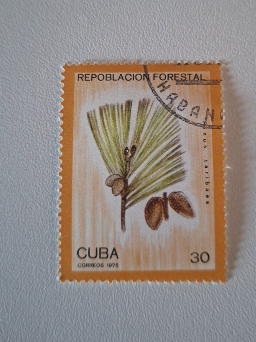 Tutti i francobolli: Cuba Briefmarke, Repoblacion Forestal, 1975 – Usato da Erlinsbach venduto da pfunky