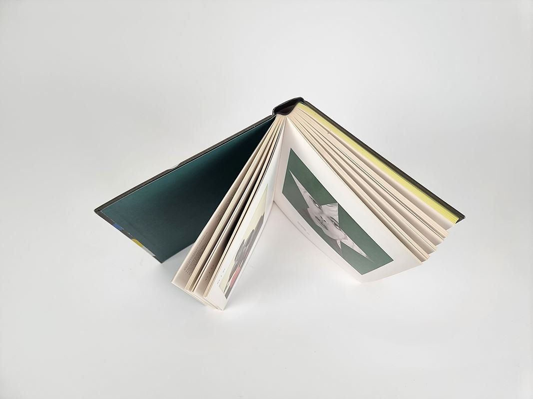 Livres: Europop Buch – D'occasion à Urtenen-Schönbühl par Restwert_Schoenbuehl 5