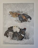 Willy Eugen Bär  Litho. Nr. handsign. Tier-Motiv,  50x40cm