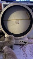 Cat Exercise Wheel Wood Construction Diameter 110 cm