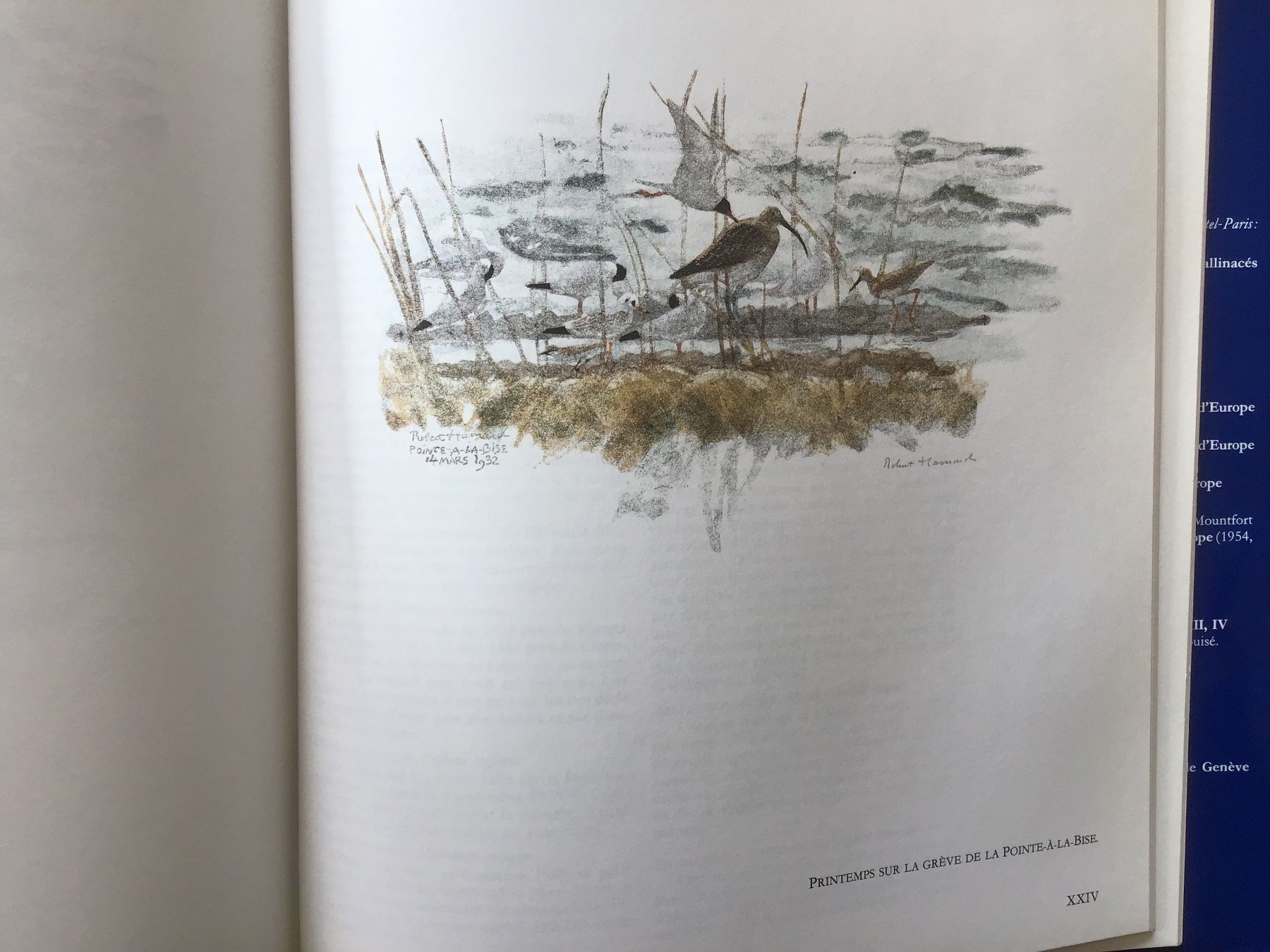Libri: Les oiseaux du Lac Léman – Usato da Fully venduto da Ruby97 9