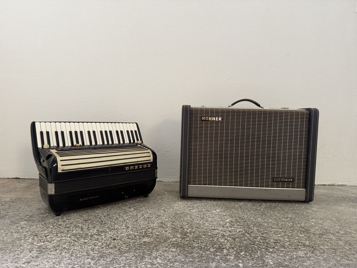 Strumenti musicali: Elektronium mit Röhrenverstärker – Difettoso da Herrliberg venduto da Bio3