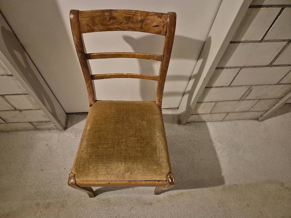 Chaises: Holzstuhl antik mit Sitzpolster – D'occasion à Schneisingen par sil_qb5m 1