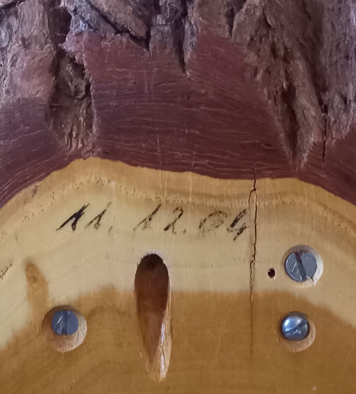 Sonstiges zum Sammeln & Seltenes: HIRSCHTROPHÄE / Hirschgeweih; v. 11.12.04, auf Lärchenbrett – Gebraucht aus Marbach LU von Ilrebo 9