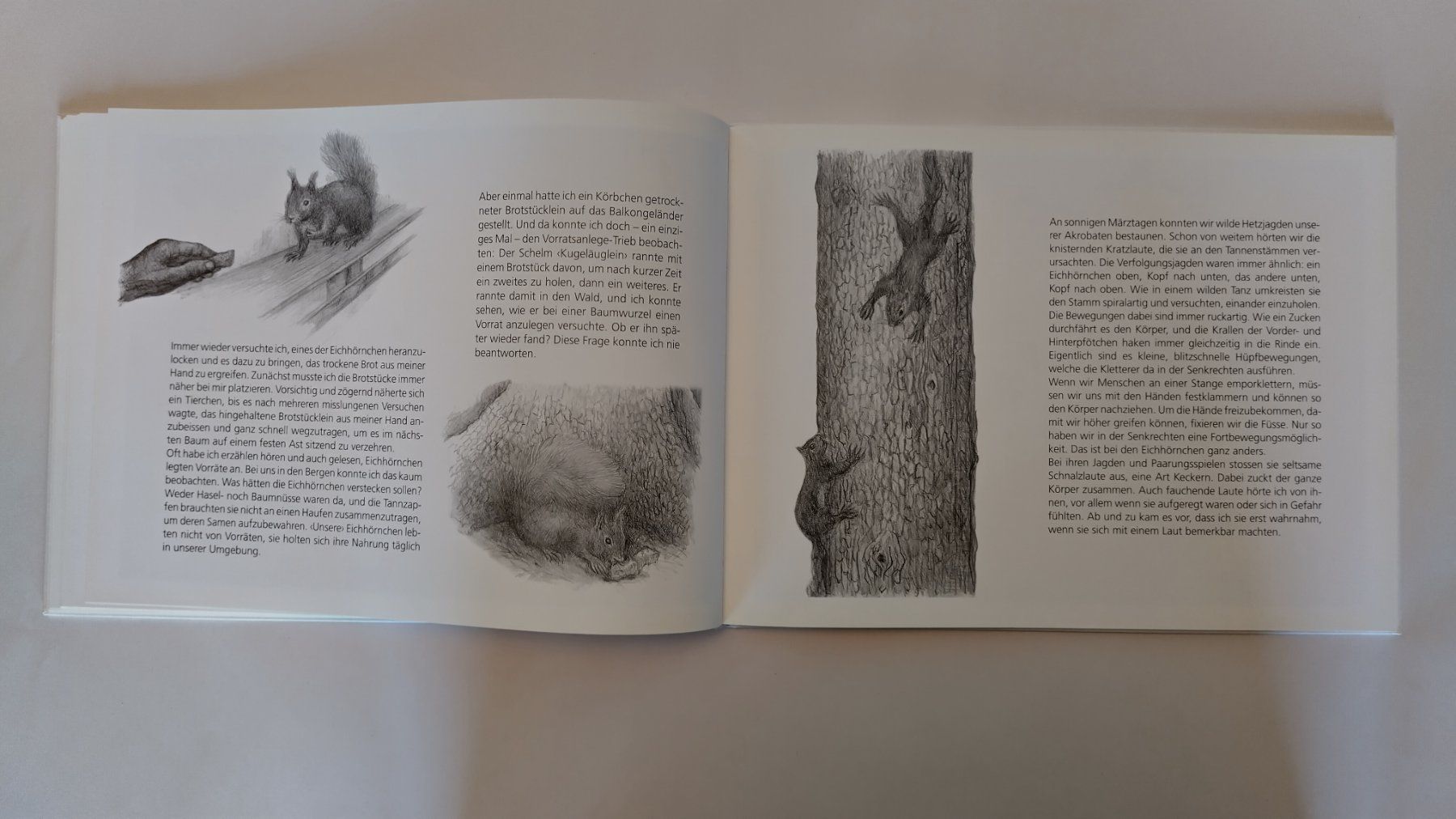 Livres: Peter Bergmann - Eichhörnchen auf Besuch / Bilderbuch – D'occasion à Bellach par JingleJerry 7