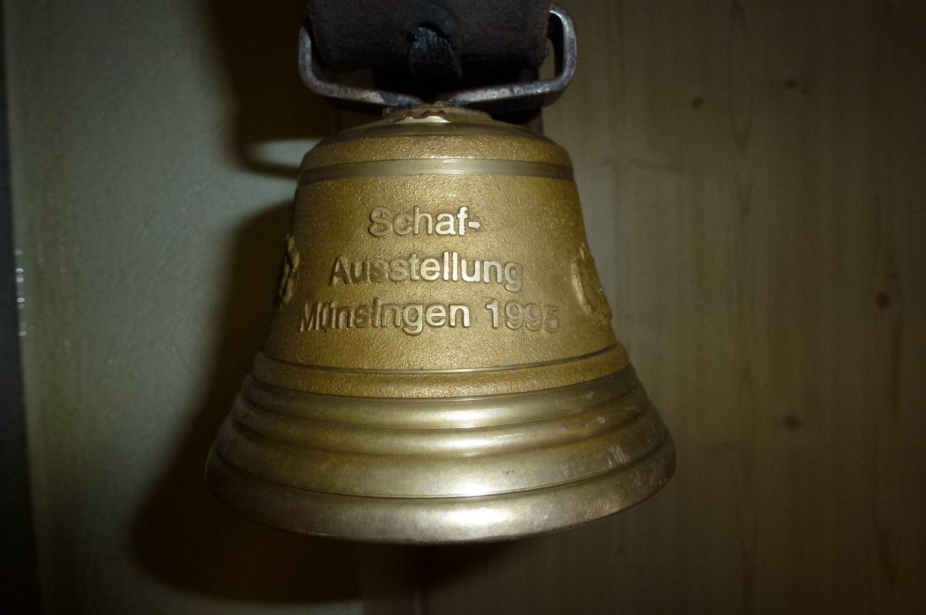 Campanacci mucche: Glocke – Usato da Bürglen UR venduto da daisyxy5 3