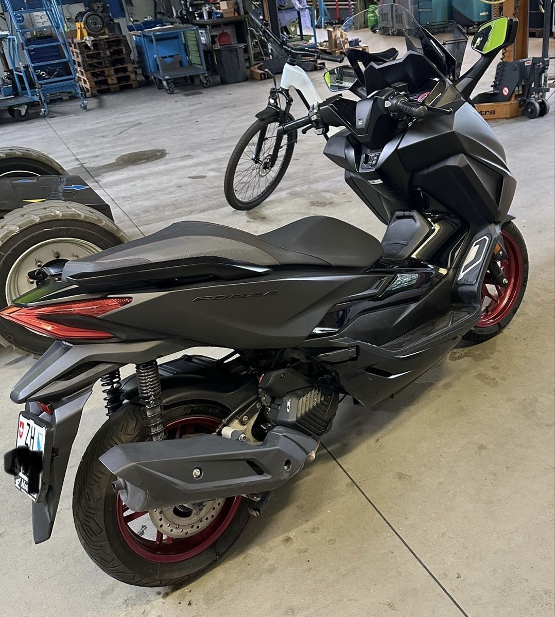Honda Scooter: Honda Forza 125 Special Edition – Usato da Zürich venduto da Perowe 2