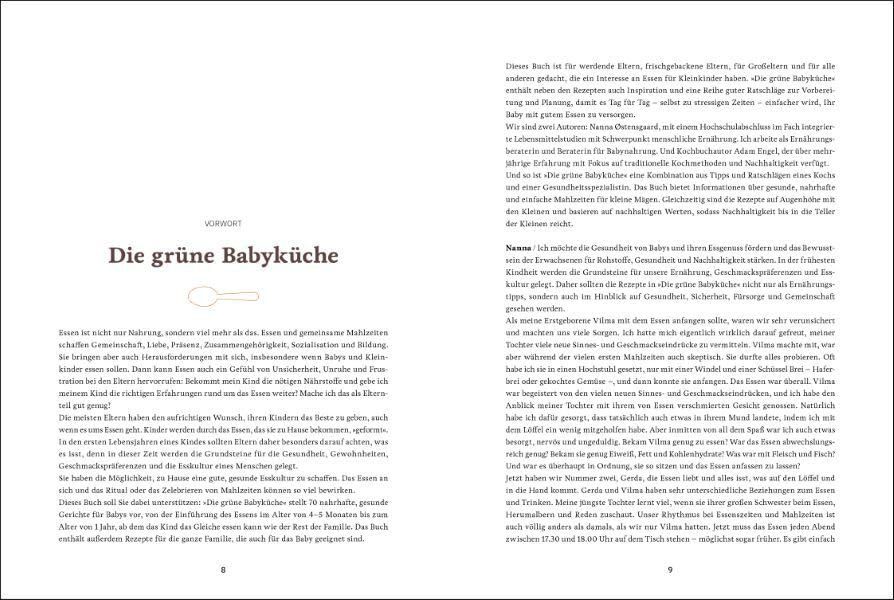 Libri: Die grüne Babyküche – Usato da Neuchâtel venduto da Dualseele 1