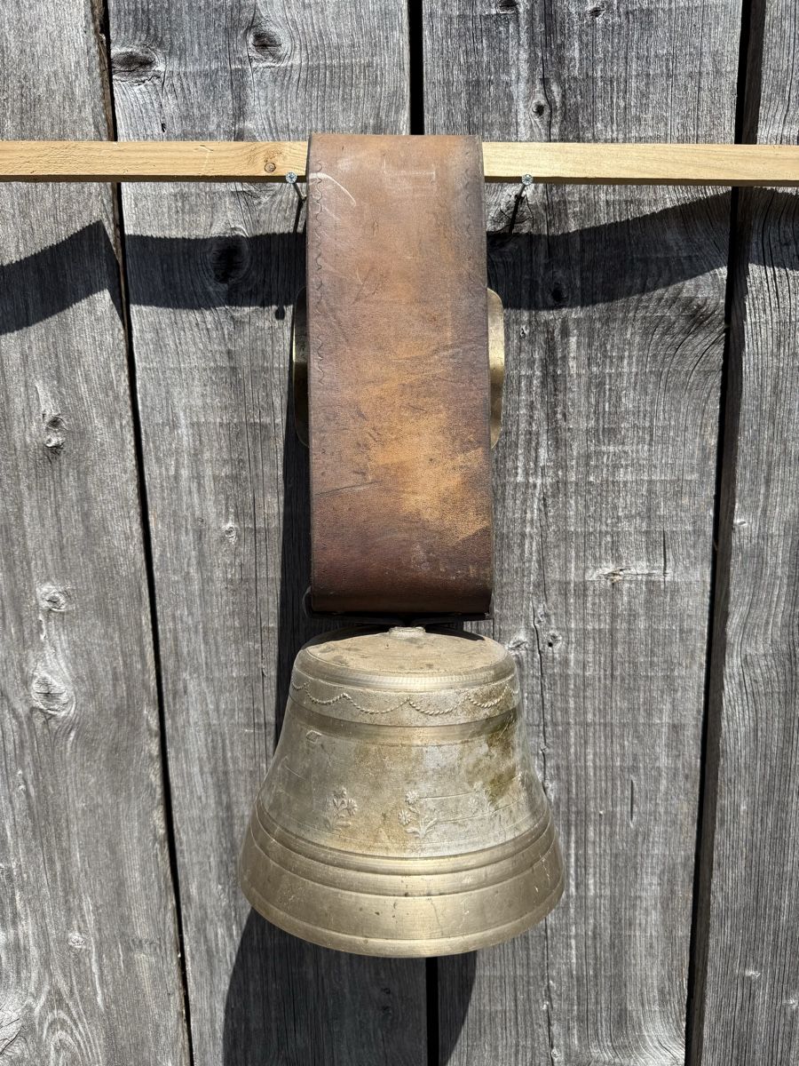 Campanacci mucche: Grosse Glocke mit breitem Riemen – Usato da Sargans venduto da foxtrading 1