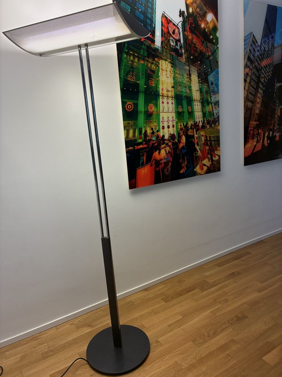 Regent Lampade: Regent Stehlampe – Usato da Basel venduto da leonharda
