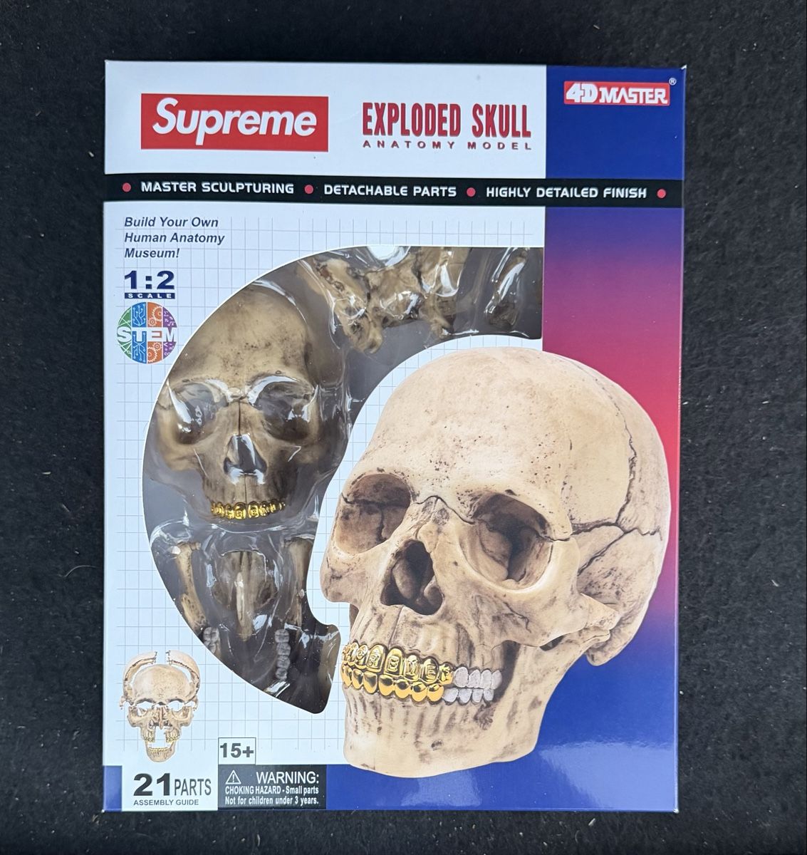 Kit di modellismo & Modellini statici: Suprême Modèle Anatomique Crâne  – Nuovo e nell'imballaggio originale da meyrin venduto da aar_g8xm