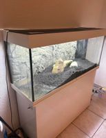 Juwel Aquarium 240l