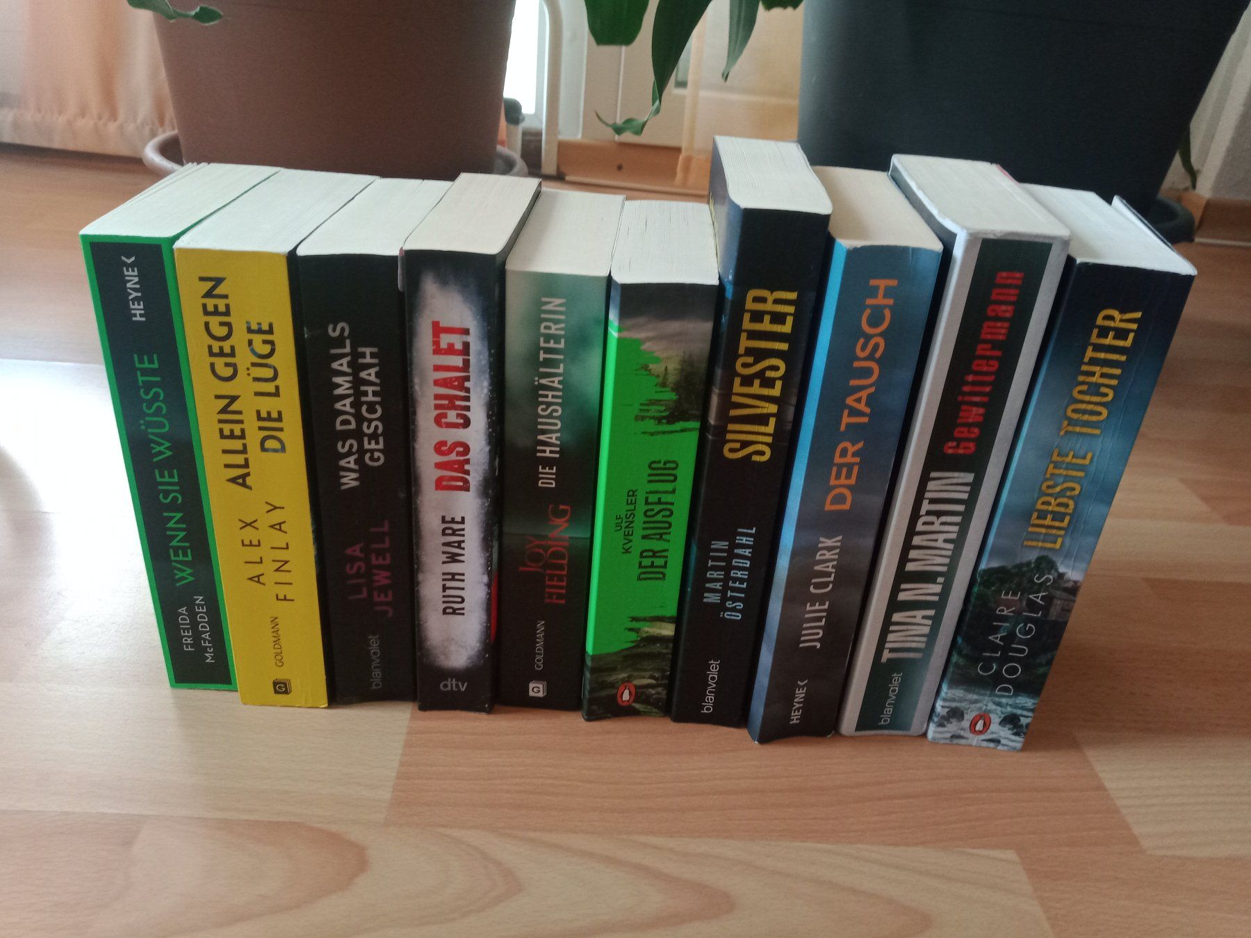10x Thriller Ruth Ware Julie Clark Freida McFadden etc. (Gebraucht) in ...