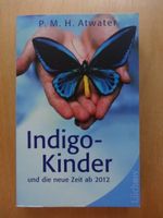 Indigo - Kinder und die neue Zeit ab 2012