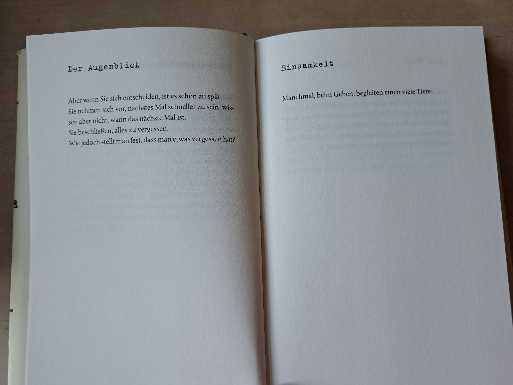 Libri: David Albahari: Die Kuh ist ein einsames Tier. Eichborn 2011 – Usato da Zürich venduto da chusel 6