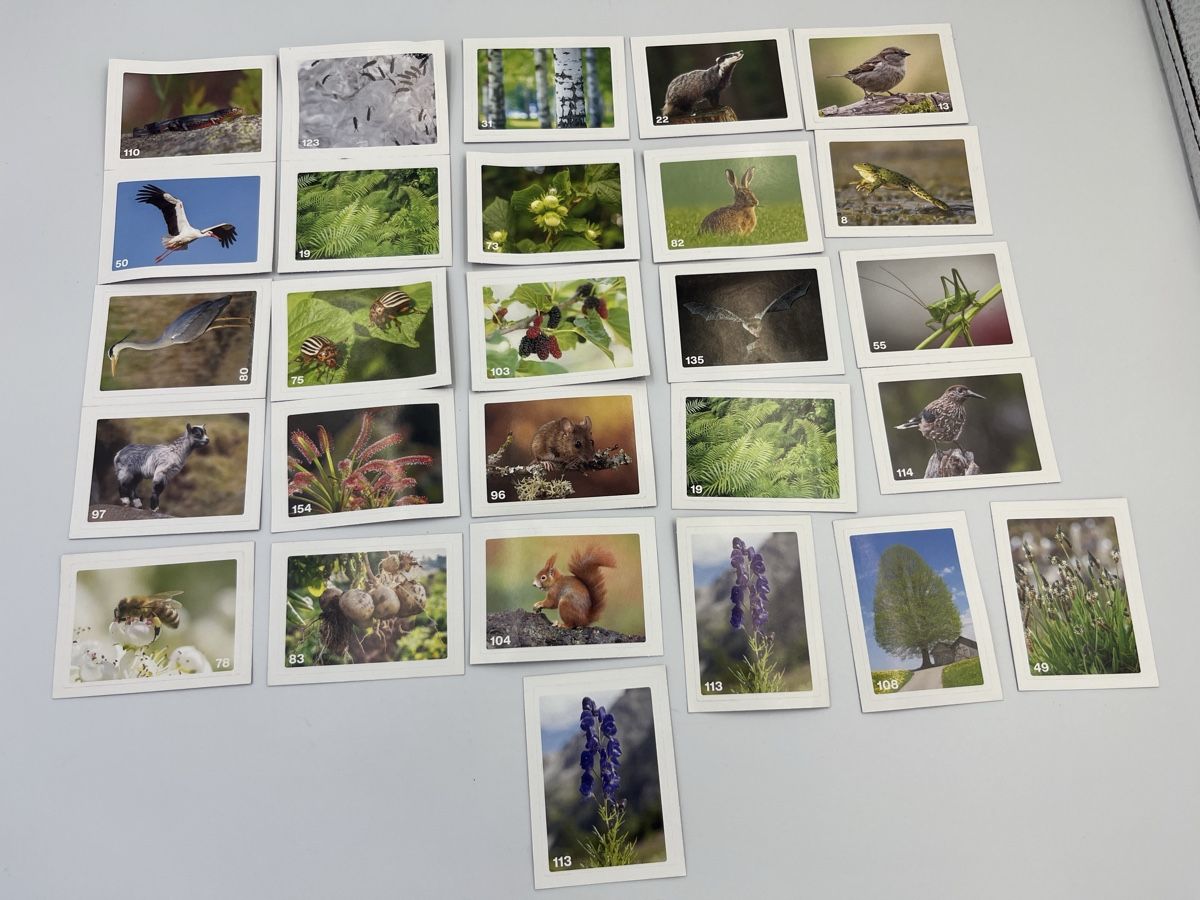 Migros Carte collezionabili: Migros Nature Detectives Bildli "27 Stuck" – Nuovo e nell'imballaggio originale da Bäch SZ venduto da Swissy46