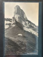 AK 1928 "Staubernkanzel" versendet im Weissbad
