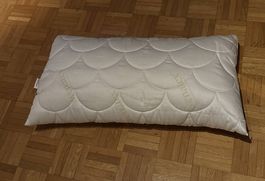 Kopfkissen Wenatex