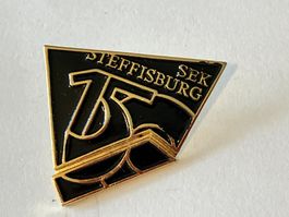 1 Pin SEK Steffisburg