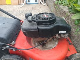 Tondeuse à gazon motorisée Spider - Parfait état pour l'été!