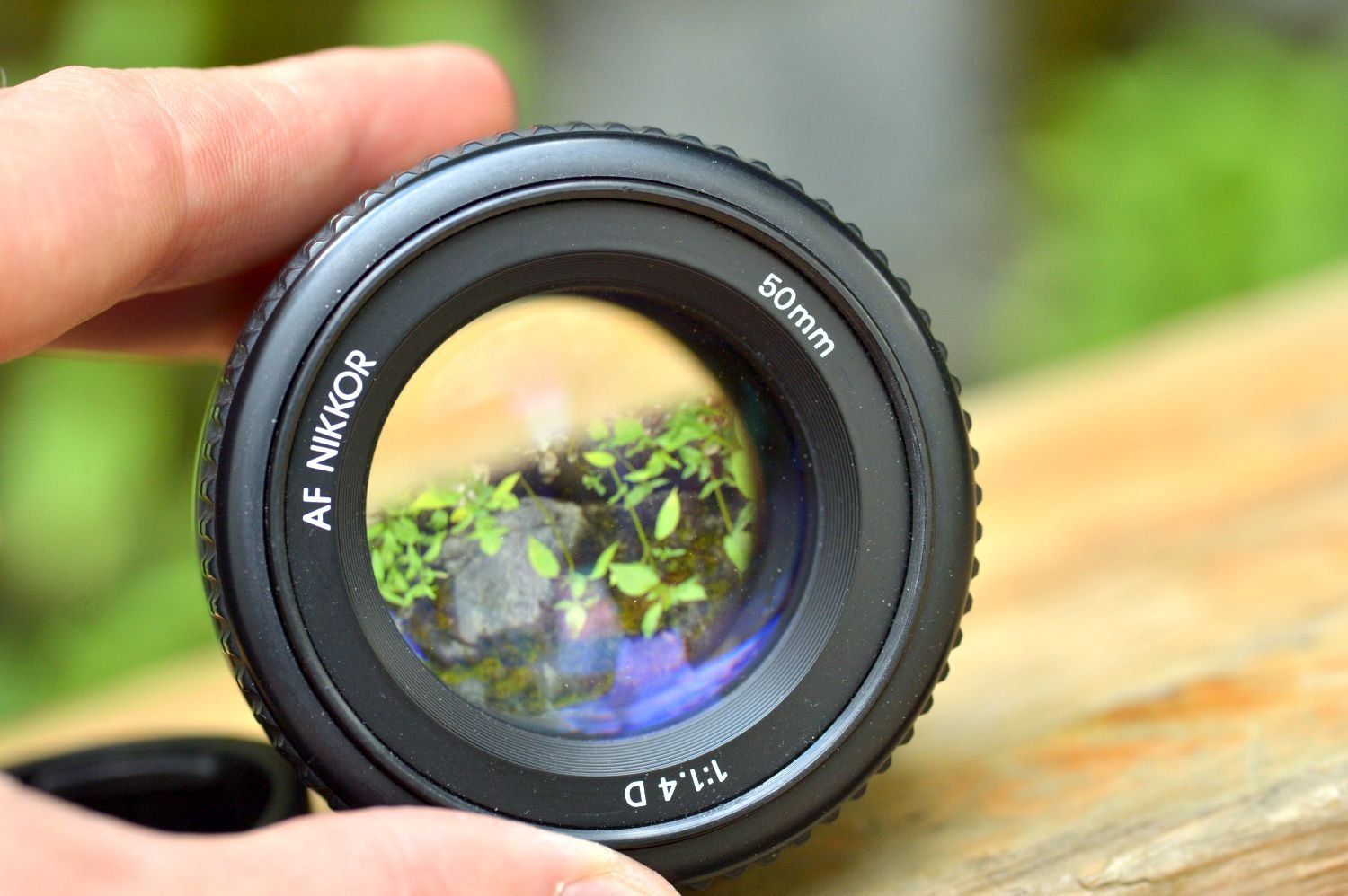 Nikon Obiettivi: Nikon AF 50mm f1.4 D – Usato da Lichtensteig venduto da dan_rj7z 3
