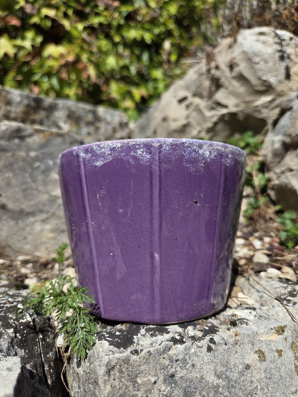 Blumentöpfe: 3er-Set Übertöpfe blau + violett – Gebraucht aus Suhr von lovecolours 5