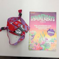 Summerdays 2-Tagespass Freitag + Samstag (2 Stück verfügbar)