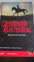 Pferdehof Klosterberg Band 1, Abenteuerstory