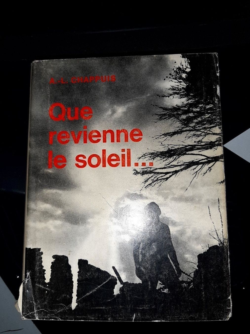 Libri: Que revienne le soleil – Usato da Le locle venduto da juliensaran