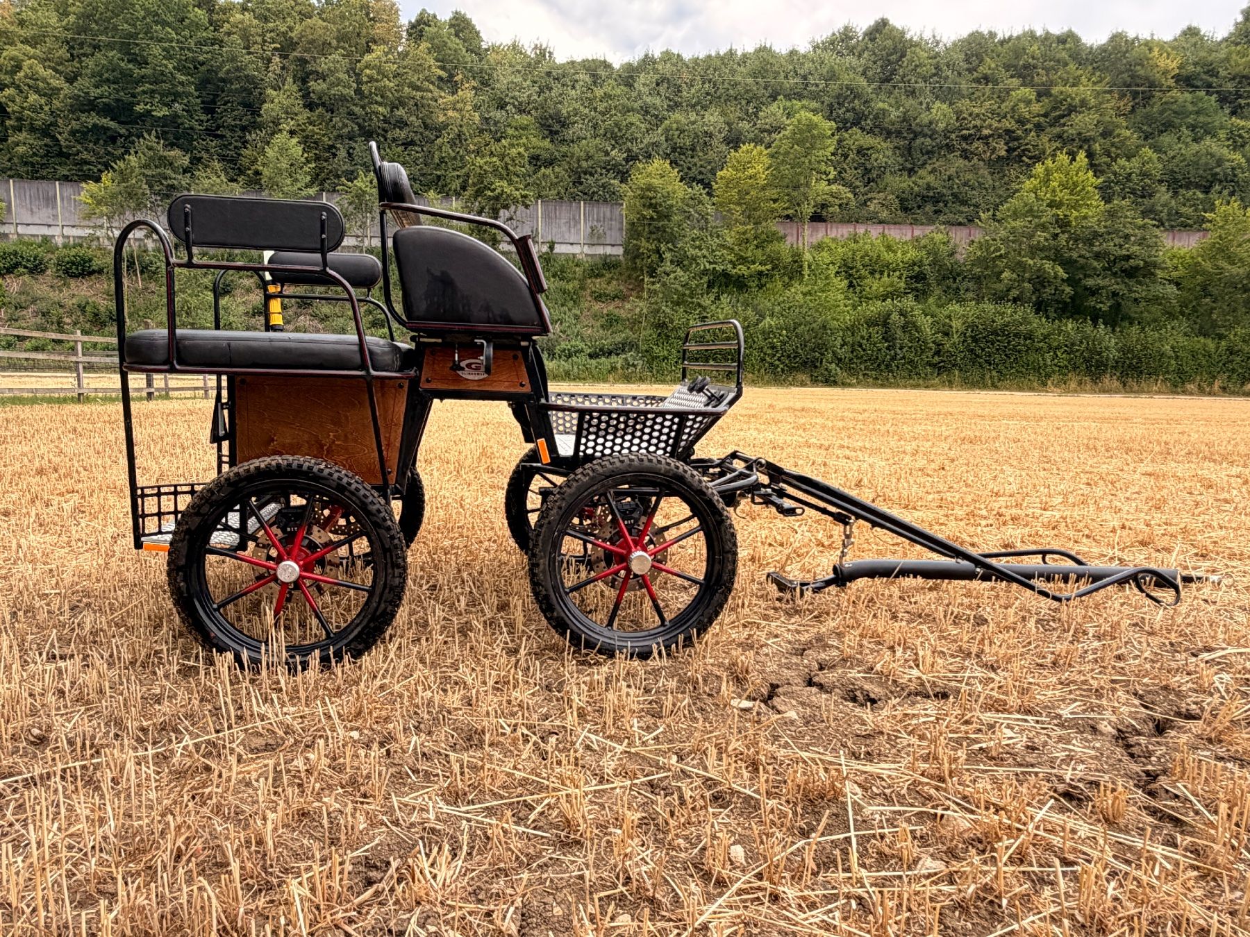 Carrozze: Pony-Kutsche / Marathon-Wagonette Glinkowksi – Usato da Diegten venduto da M.eseli 1