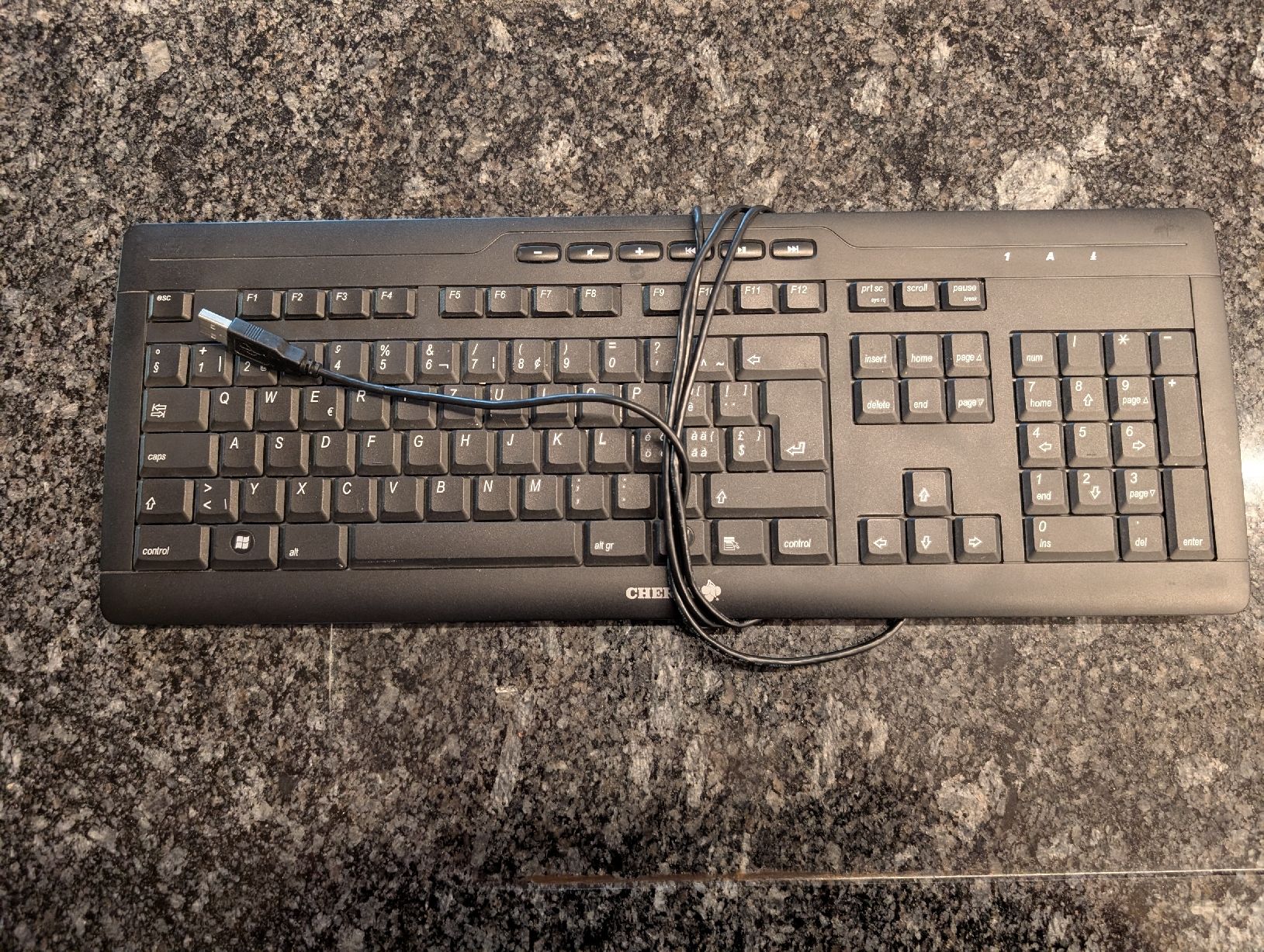 Tastiere: CHERRY G230 Tastatur QWERTZ USB – Usato da Braunau venduto da domiV6