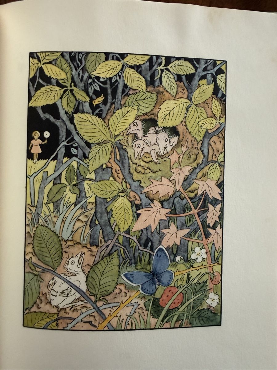 Libri: Silvelis Wunderlämpchen, Hedwig Thoma, Kinderbuch, 1941 – Usato da Weisslingen venduto da Jannaki 5