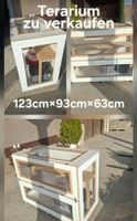 Terrarium für Rennmäuse