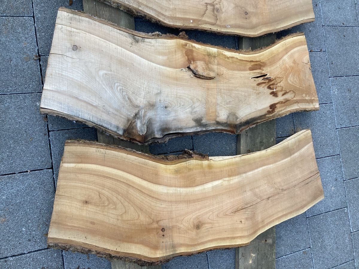 Articoli in legno: Kirschbaumbretter – Usato da Luthern Bad venduto da Peter686 4