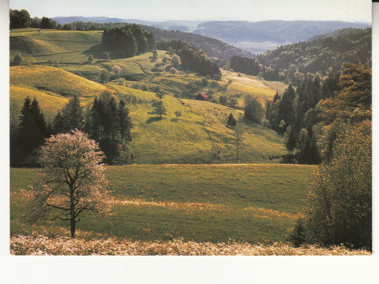 Cartoline postali: Sitzberg ca. 1970 – Usato da Bürglen TG venduto da StampGraf