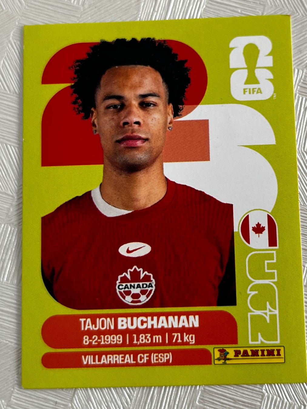 Panini Carte collezionabili: Panini Fifa Word Cup 2026 CAN 17 – Usato da Winterthur venduto da Numero1