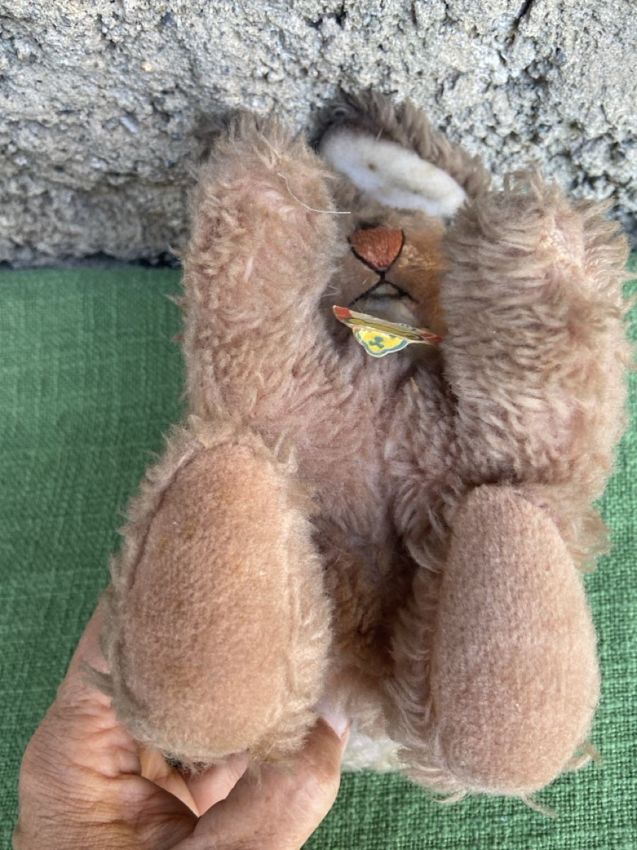 Steiff Spielzeuge: Alte steif Haas Cosy – Gebraucht aus Brienz BE von hey_z9vg 3