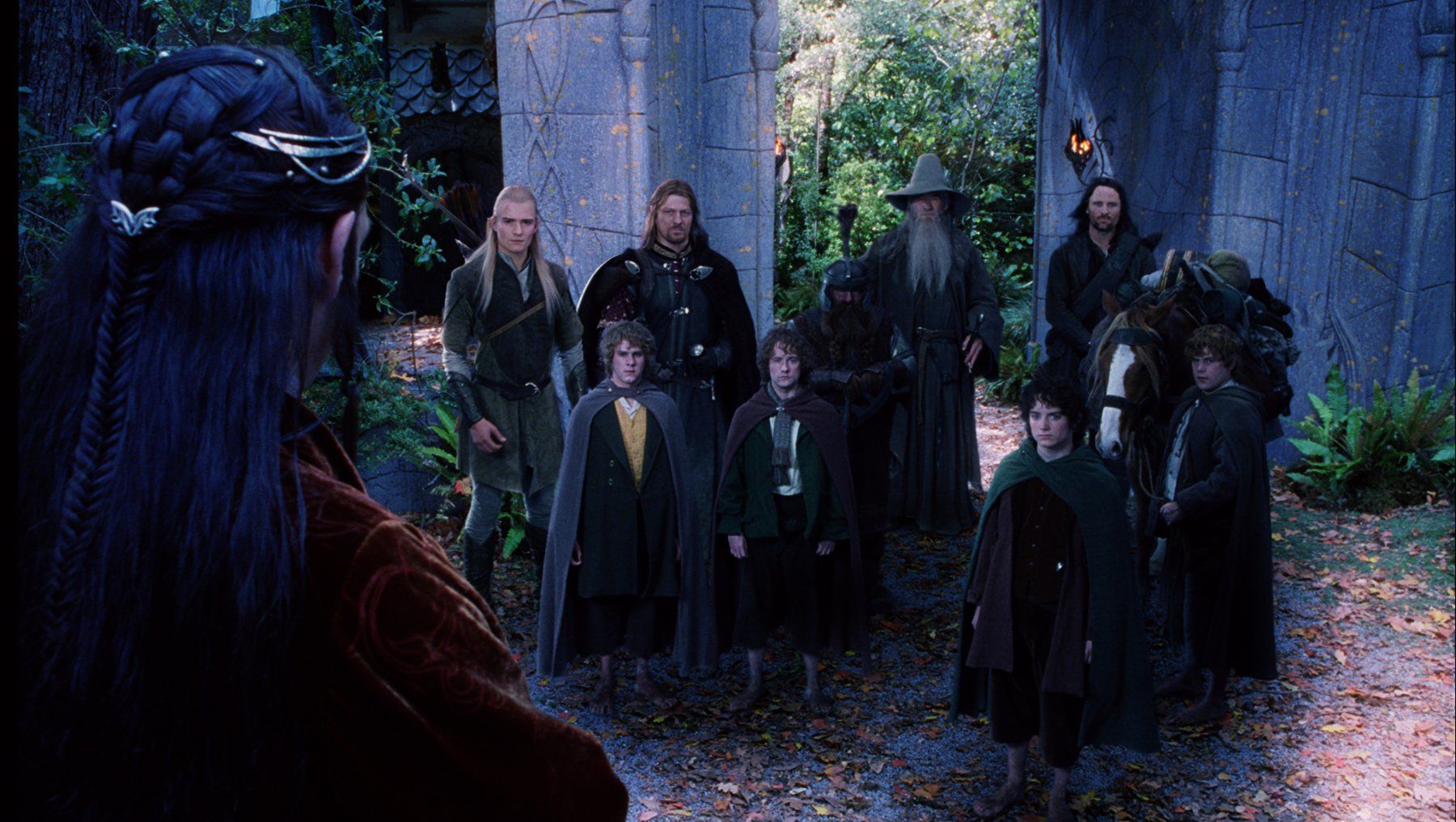 Tutti i DVDs: Der Herr der Ringe Trilogie/Extended Edition/15-Discs/Boxset – Usato da Volketswil venduto da cinephilia 4
