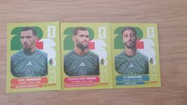 Panini