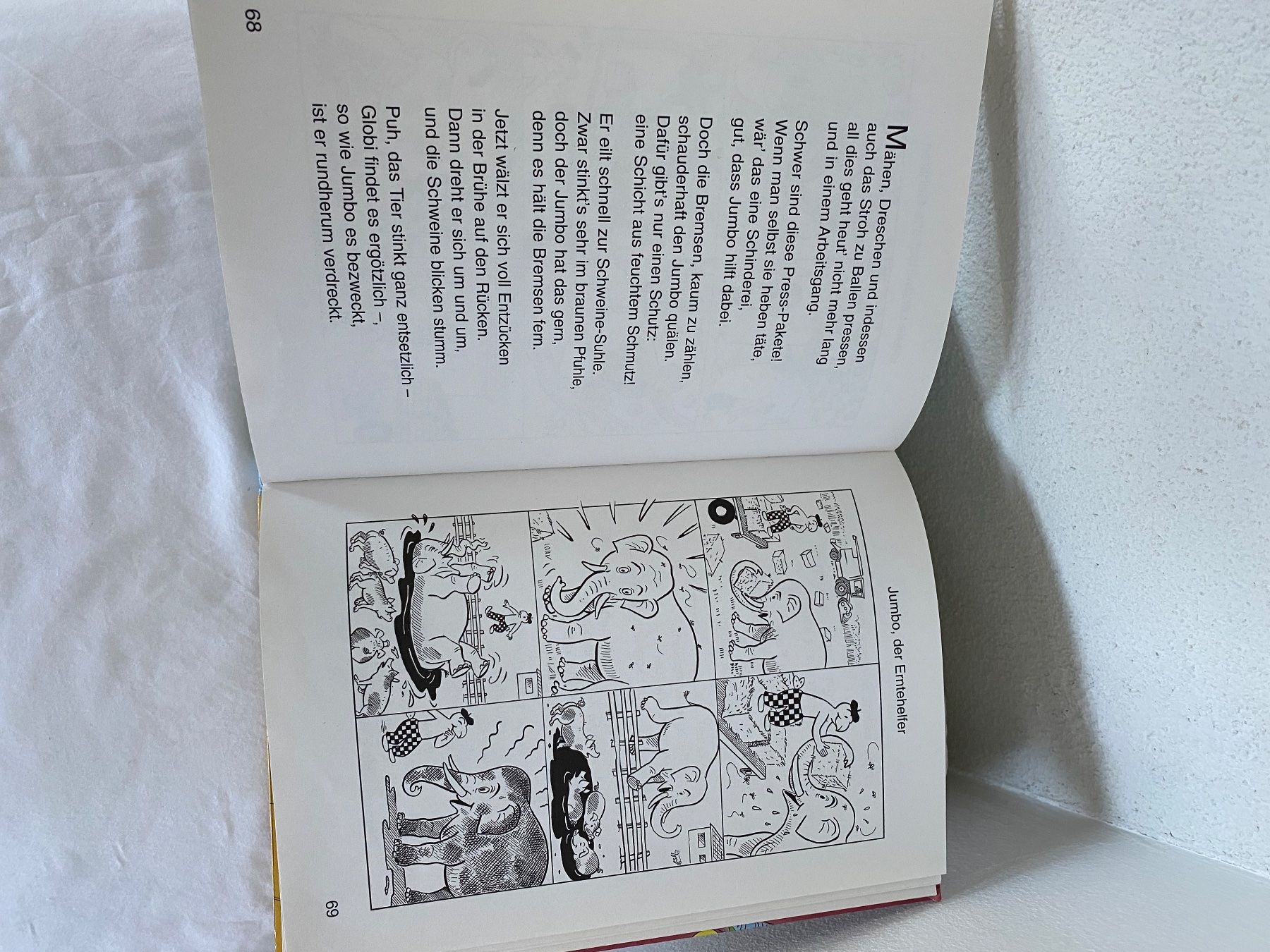 Livres: GLOBIS ZOO 1 AUFLAGE UNBEMALT – D'occasion à Zürich par Fashionparade 3
