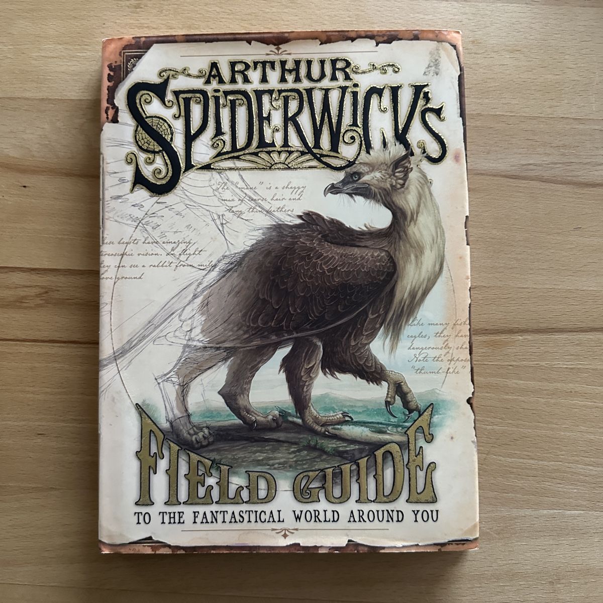 Libri: Arthur Spiderwick's Field Guide – Nuovo (secondo la descrizione) da Sax venduto da kaulquappe01