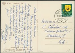 1958 - Pro Juventute Karte - Sissach BL