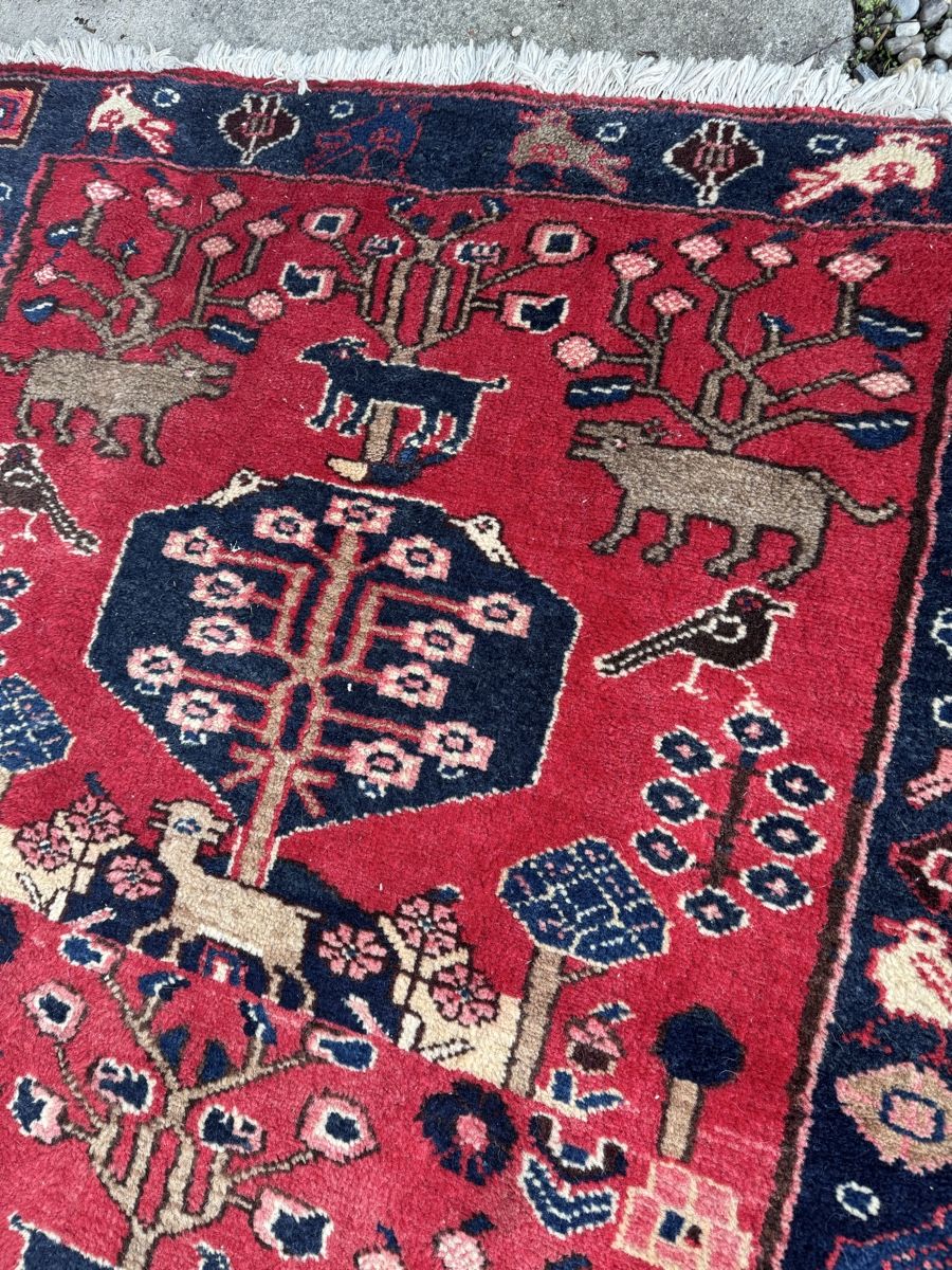 Teppiche: Echter Orientteppich Läufer aus Gharaghan – Gebraucht aus Pfäffikon ZH von lenaviktoria 2