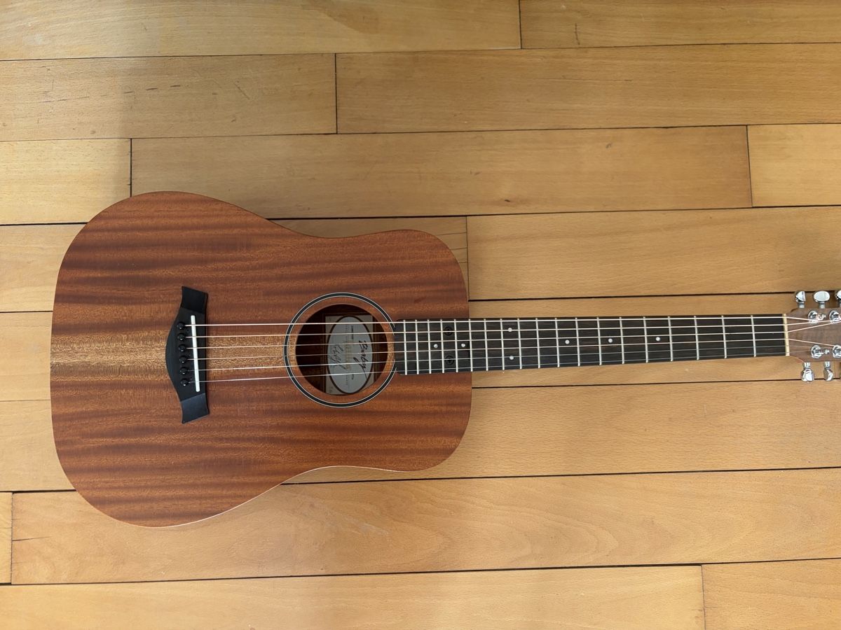 Taylor Strumenti musicali: Taylor BT2e – Usato da Zürich venduto da mw_777 1