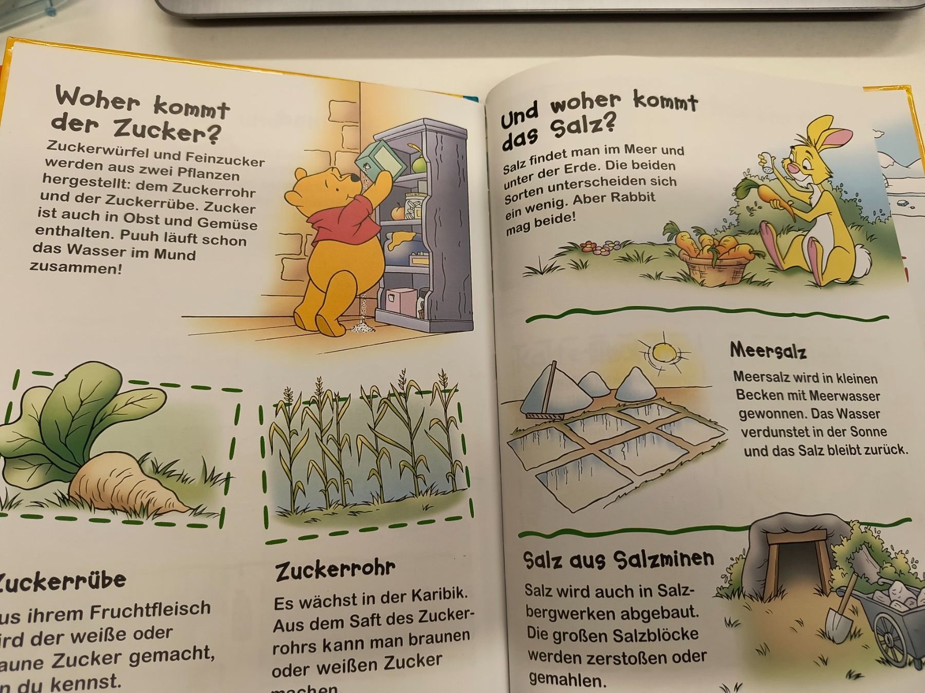 Bücher: Winnie Pooh Entdecke Gegensätze – Gebraucht aus Schöfflisdorf von kin_2dp9 1