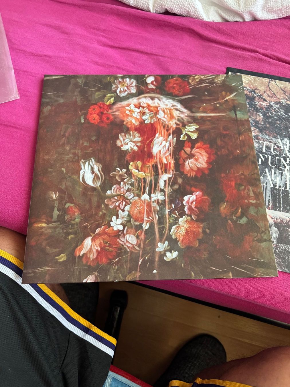 Dischi in vinile: UNREQVITED - BEAUTIFUL GHOSTS LP,ALBUN GATEFOLD – Usato da Delémont venduto da pinguino6 1