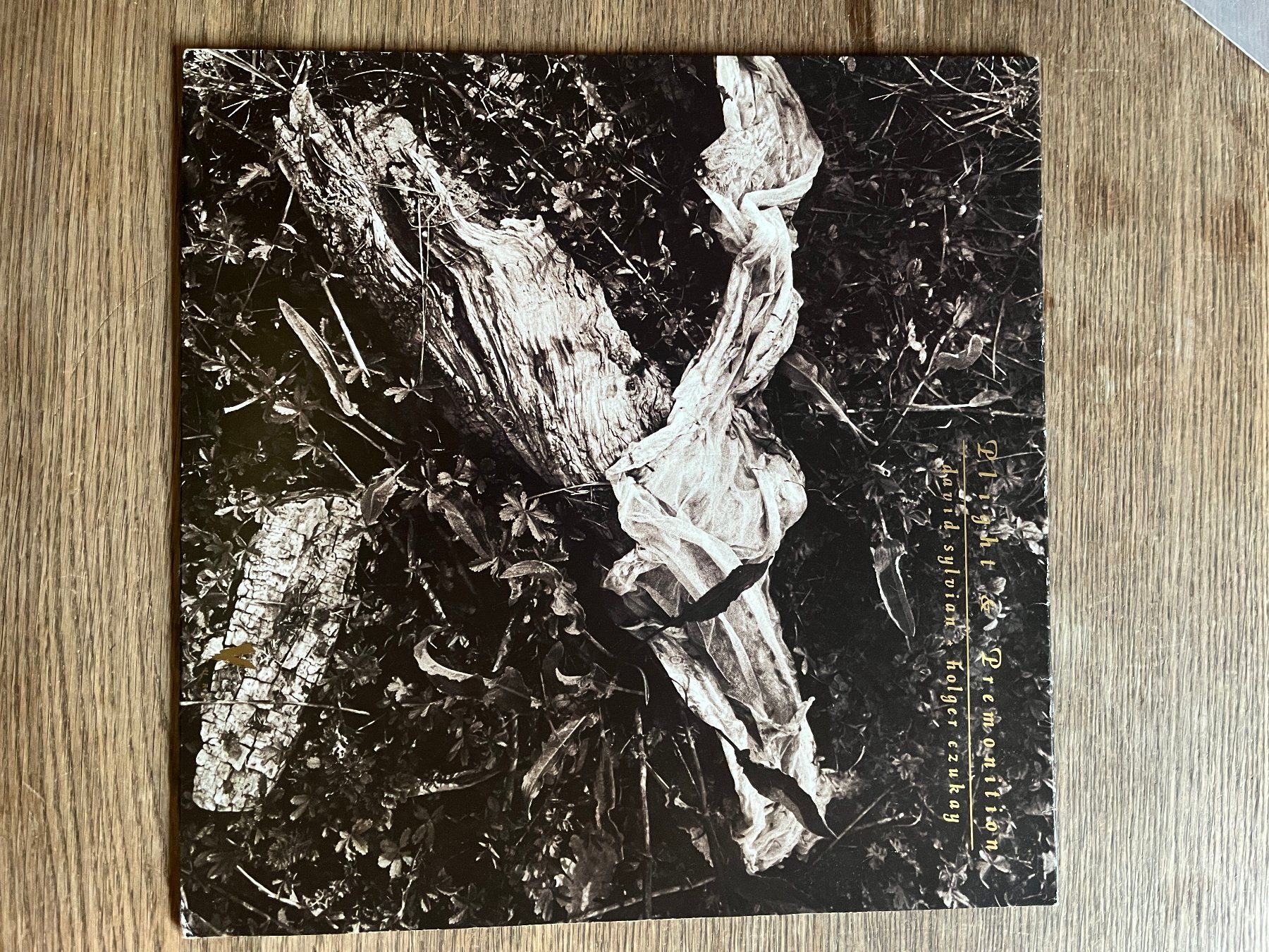 Schallplatten: David Sylvian and holger czukay – Gebraucht aus Zürich von Nieverge1