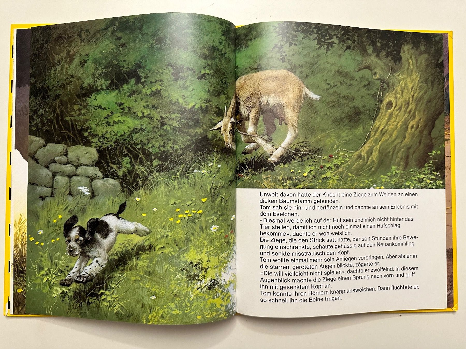 Libri: TOM das herrenlose Hündchen  - Hardcover – Usato da Münsingen venduto da Ganjam 7