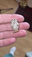 Broschen Eule Strass