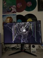 AOC Curved Gaming Monitor mit 250hz